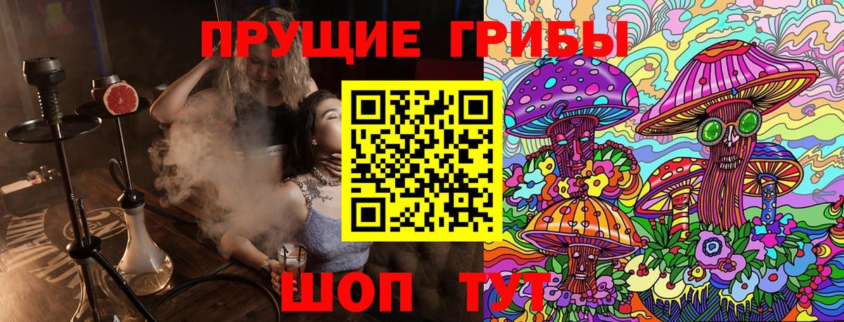 Галлюциногенные грибы Cubensis Мончегорск