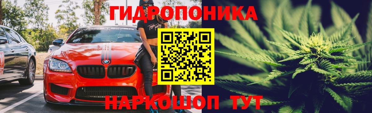 Мончегорск  Шишки марихуана сатива  Канабис VHQ  Каннабис AK-47  Вход с VPN 